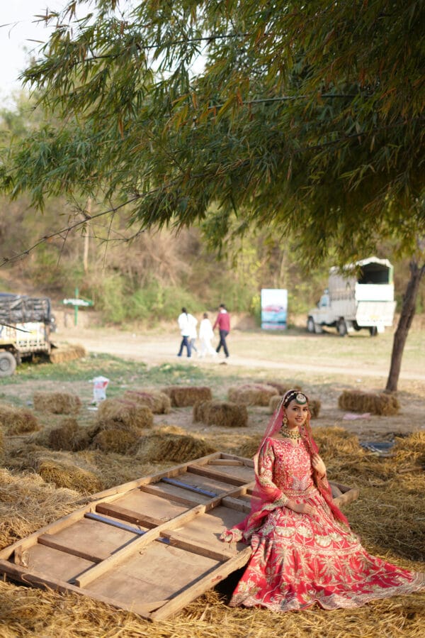 Pink lehenga - Image 3